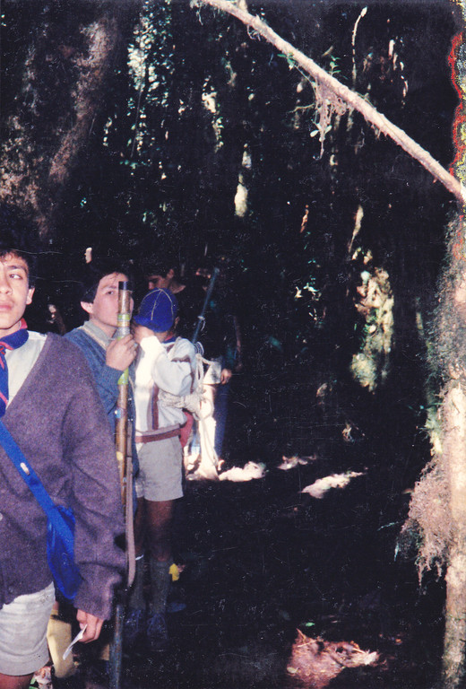 Francisco y Jaime Mejía