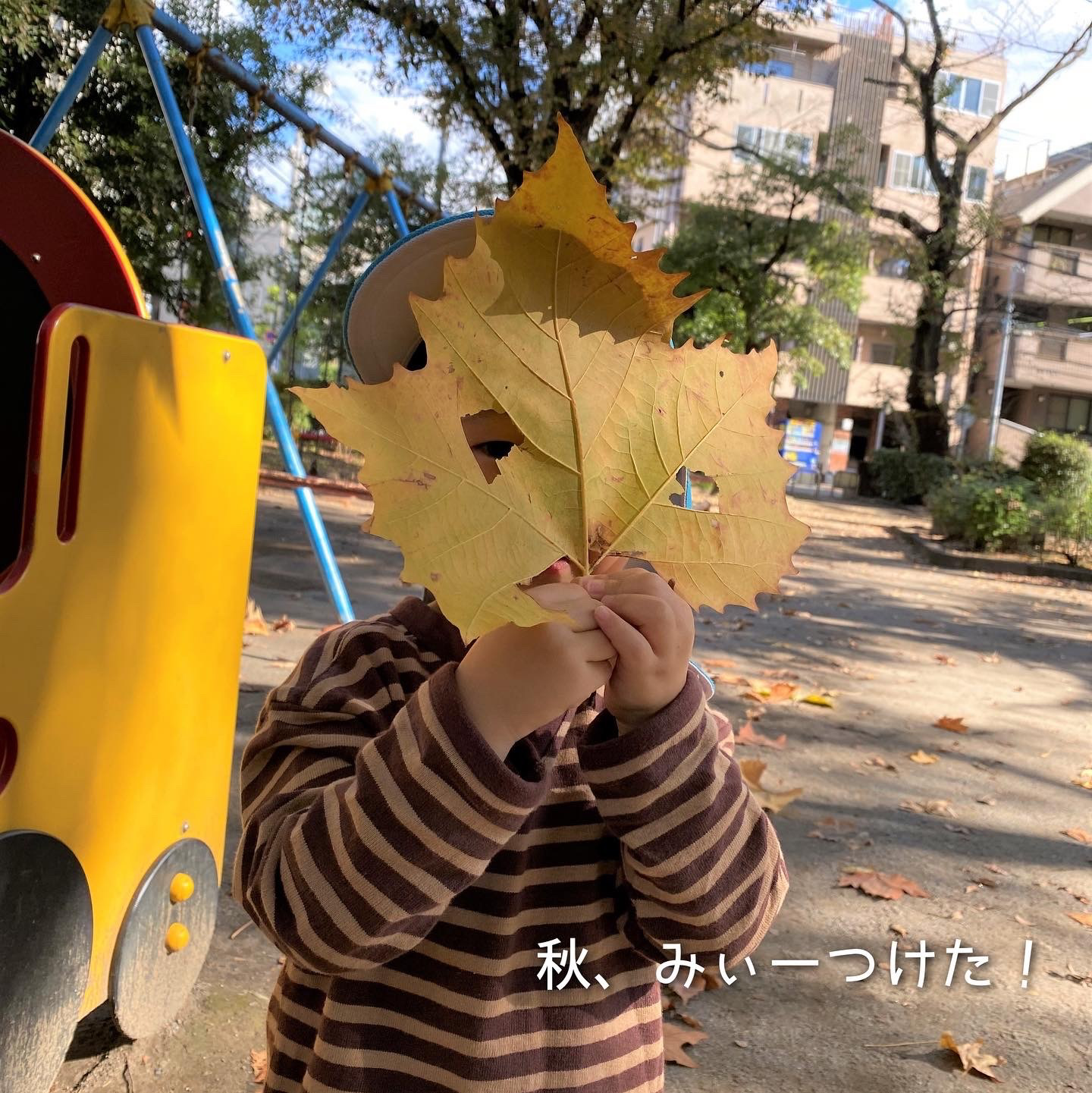 駒込公園探検隊、秋みーつけた！