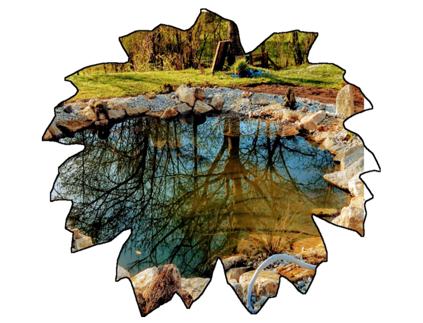 Teichanlage/Ufer Muschelkalk