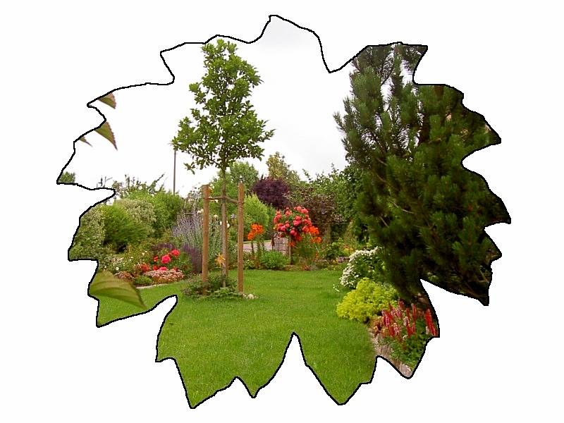 Gartenneuanlage
