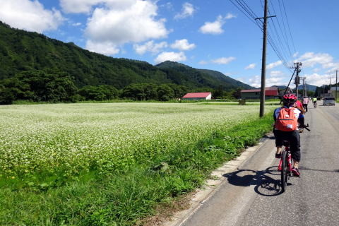 そばの花も迎えてくれる