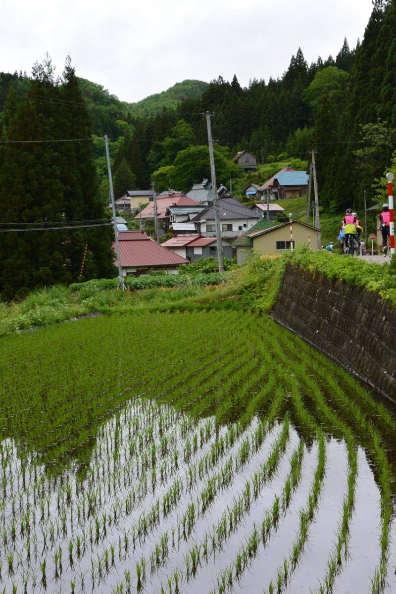 山間の棚田。ちょうど田植えしたばかりです。