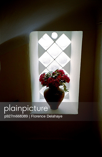 Fleurs à la fenêtre . contrejour .
