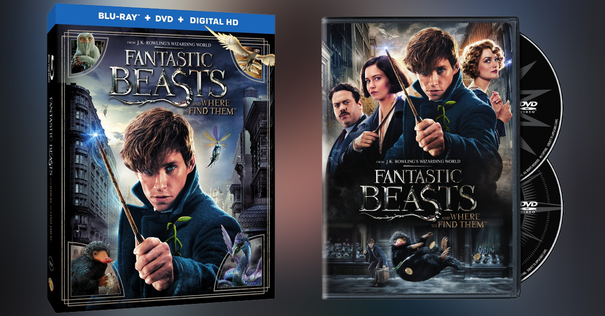 Date de sortie, contenu et visuels du DVD/Blu Ray des "Animaux