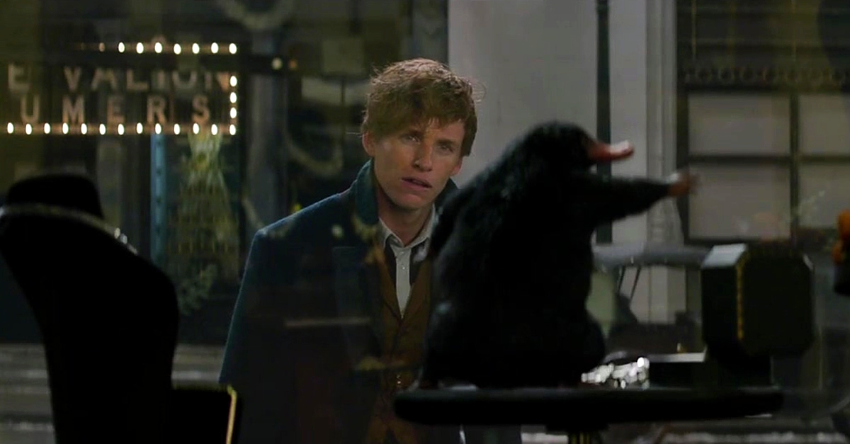 Norbert Vs Le Niffleur Le Troisieme Extrait Des Animaux Fantastiques Potterveille