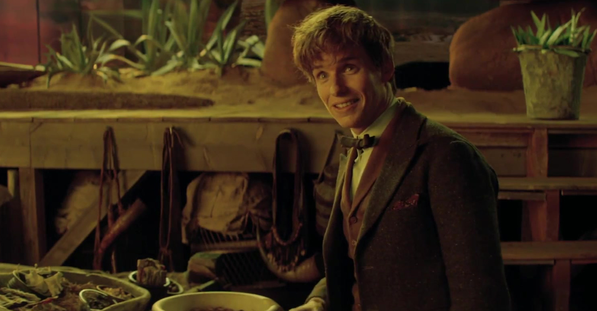 Les Animaux Fantastiques Analyse Du Nouveau Clip Promotionnel Potterveille