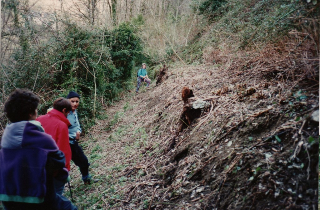 débroussaillage ronces