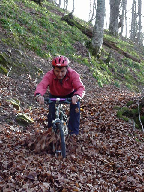 En automne, les feuilles se ramassent à la pelle dans la descente des Ichantes !