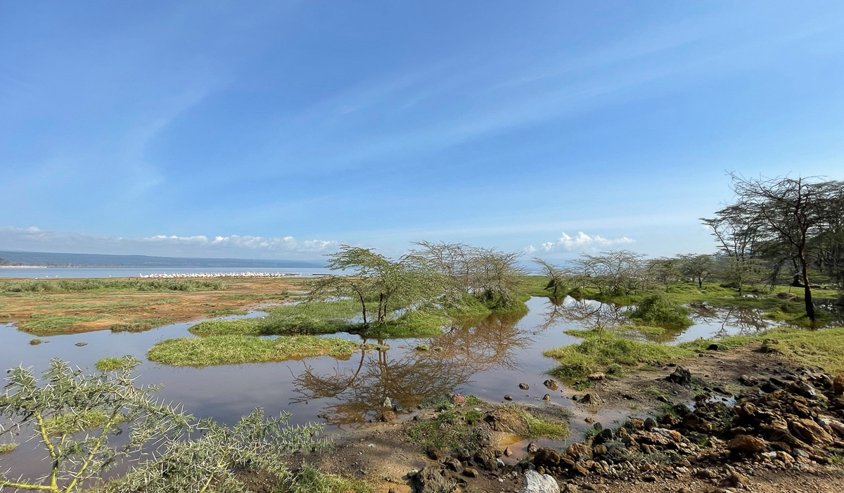 Kenya - A Day in Lake Nakuru NP: Wildlife Safari and Scenic Views