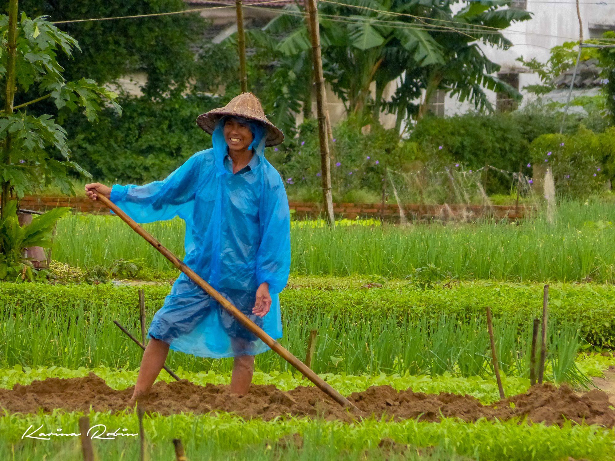 Vietnam - From Garden to Table: A Memorable Cooking Experience in Tra Que