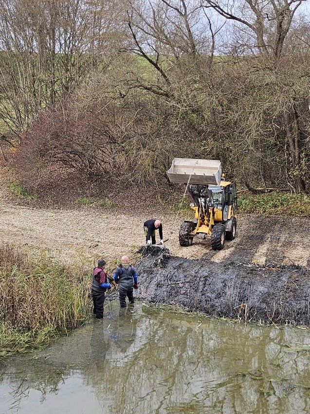 Arbeitseinsatz am Vereinsheim und am Feuchtbiotop Pflasterbergle