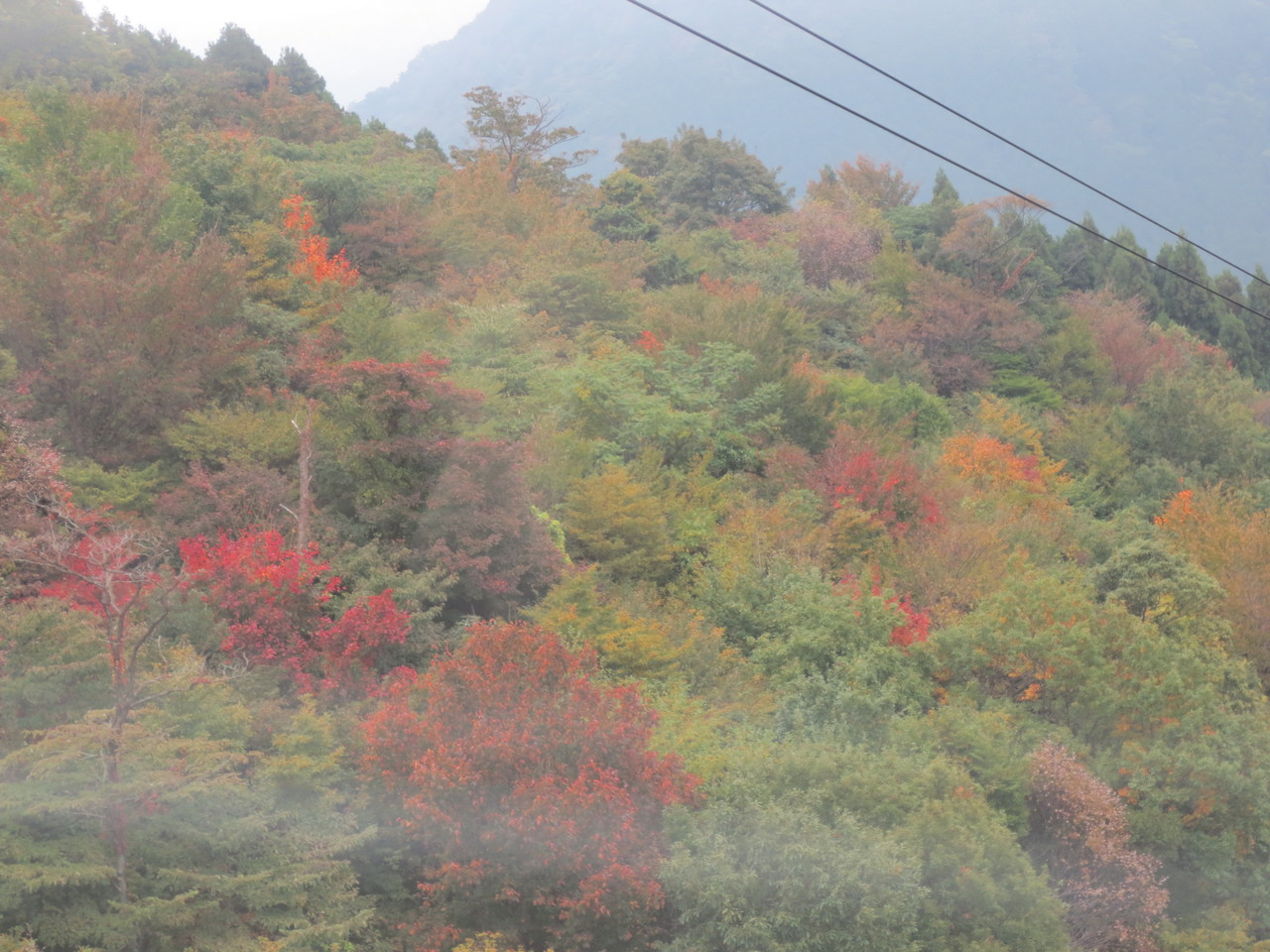 鶴見岳の紅葉