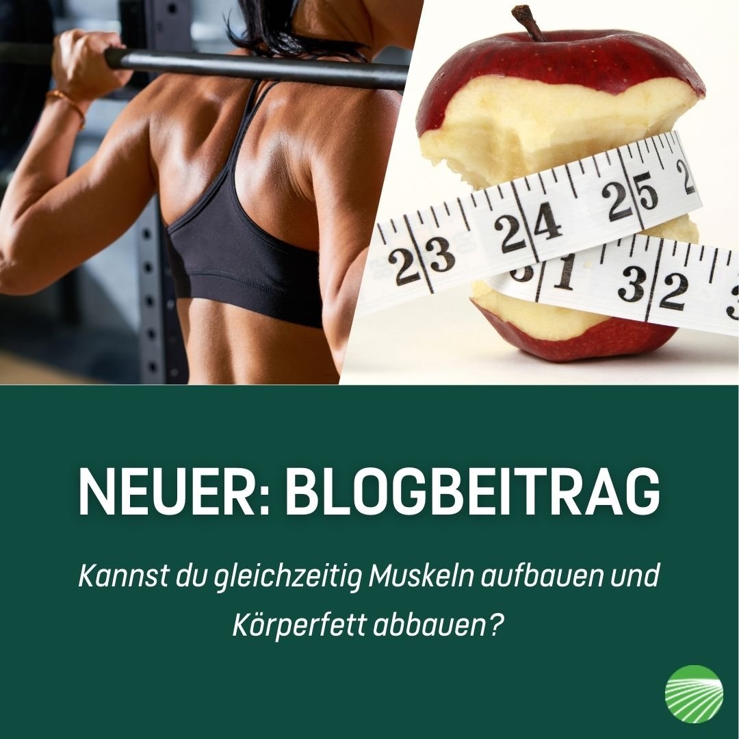 Kannst du gleichzeitig Muskeln aufbauen und Körperfett abbauen?