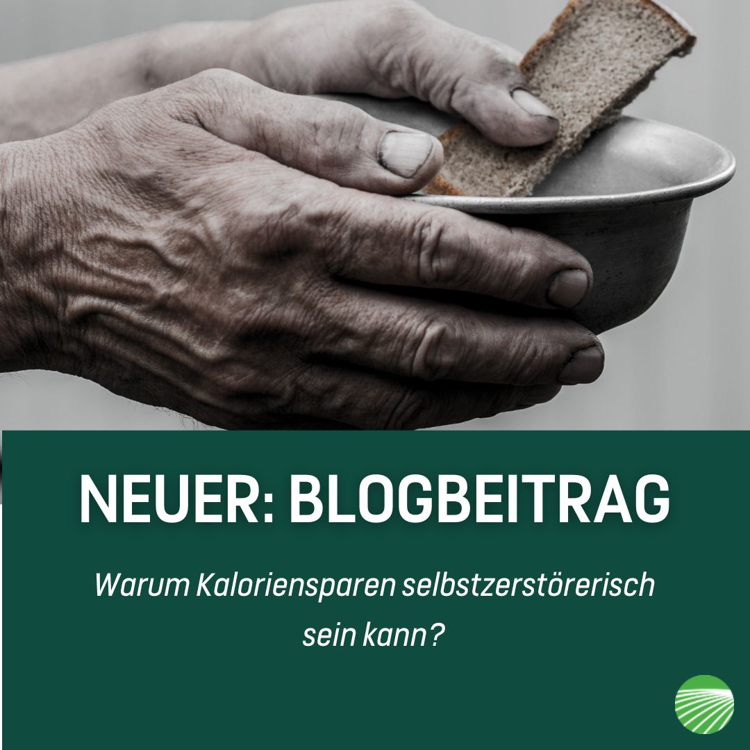 Warum Kaloriensparen selbstzerstörerisch sein kann?