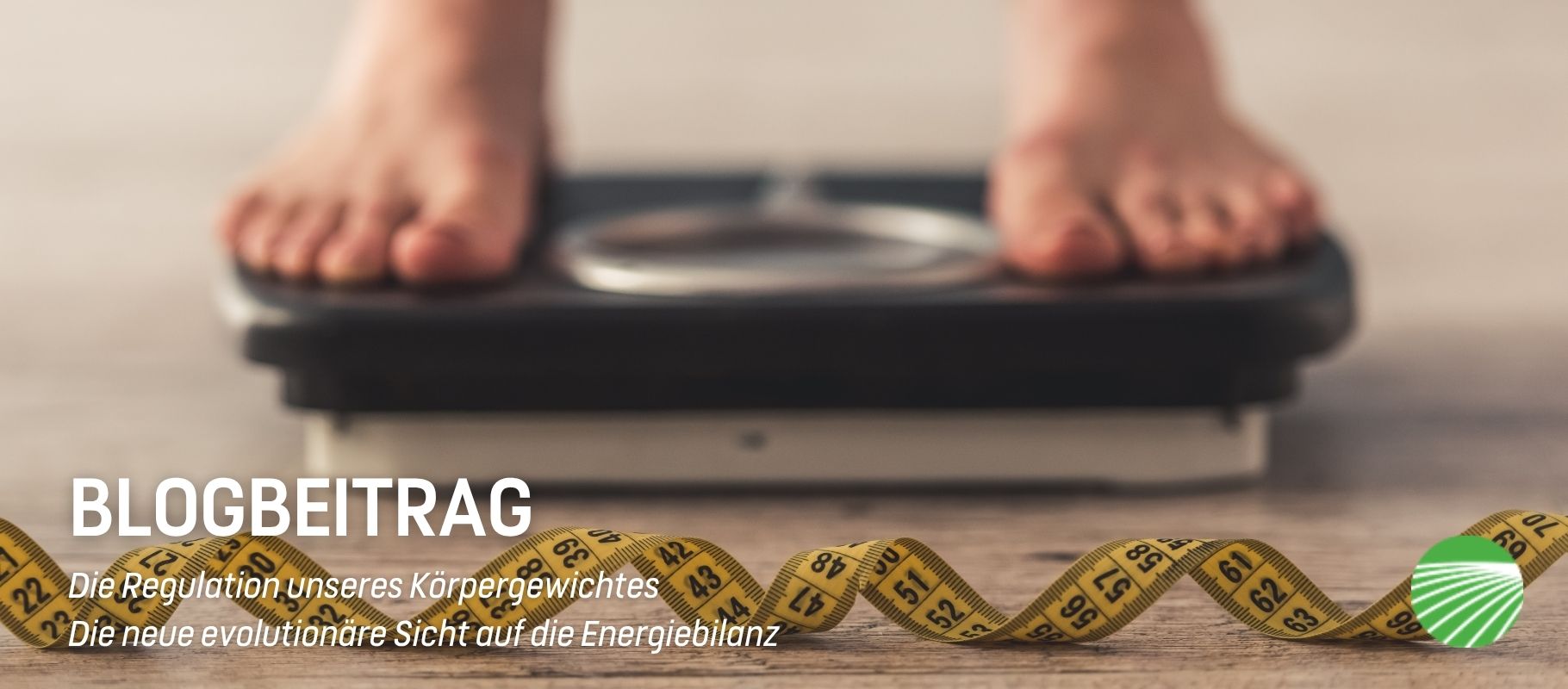 Die Regulation unseres Körpergewichts - Die neue evolutionäre Sicht auf die Energiebilanz
