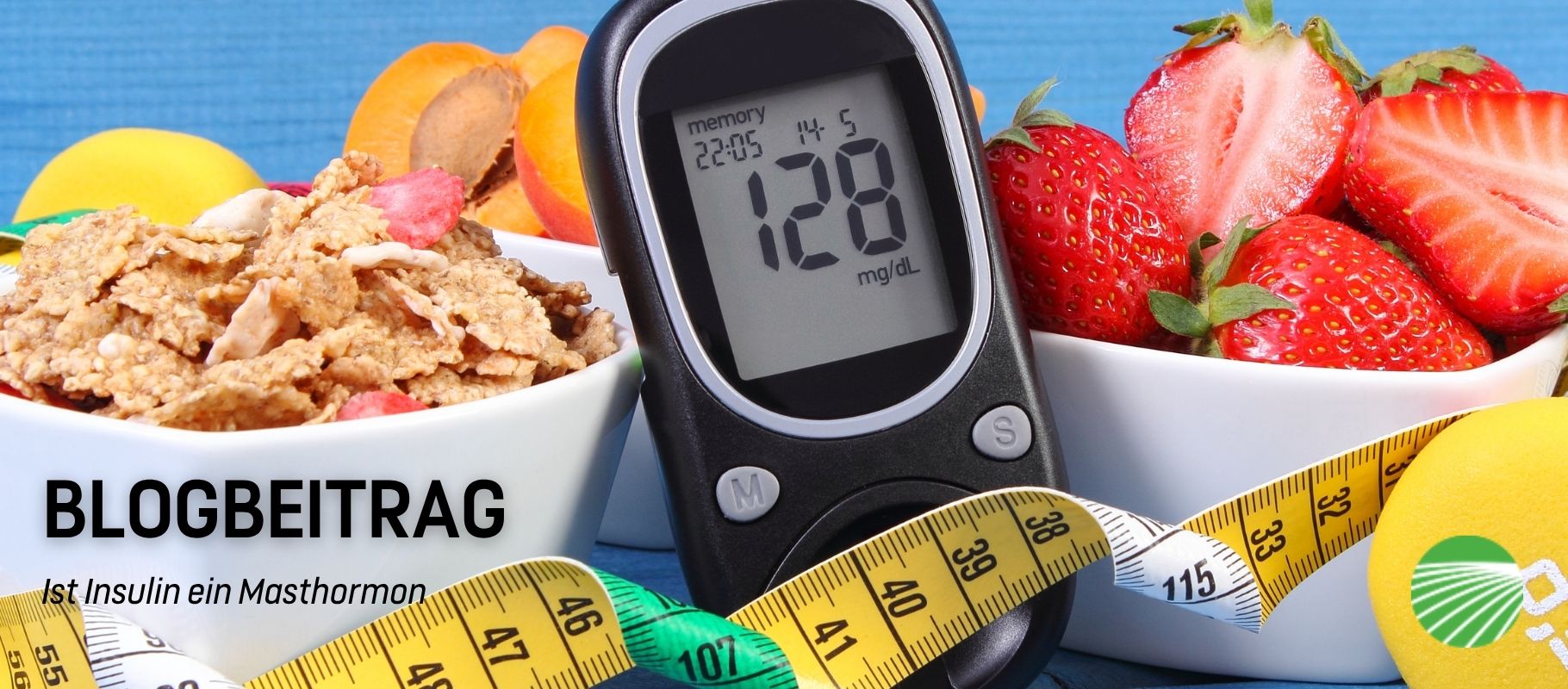 Ist Insulin ein Masthormon?