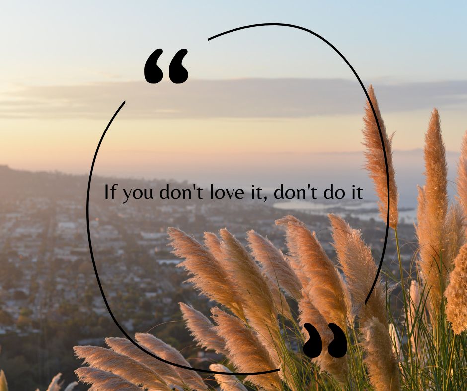 If You Don't Love It, Don't Do It