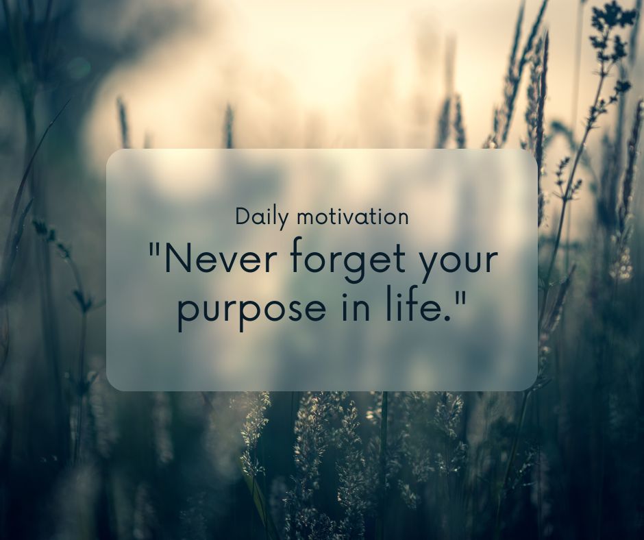 Never Forget Your Purpose In Life