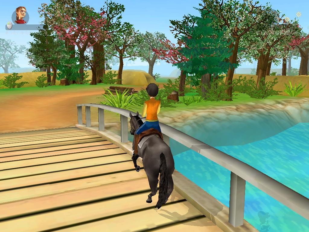 3in1 PferdeBox Riding Star 3 + Lass uns reiten 2 + Mein Gestüt Ein Leben für die Pferde