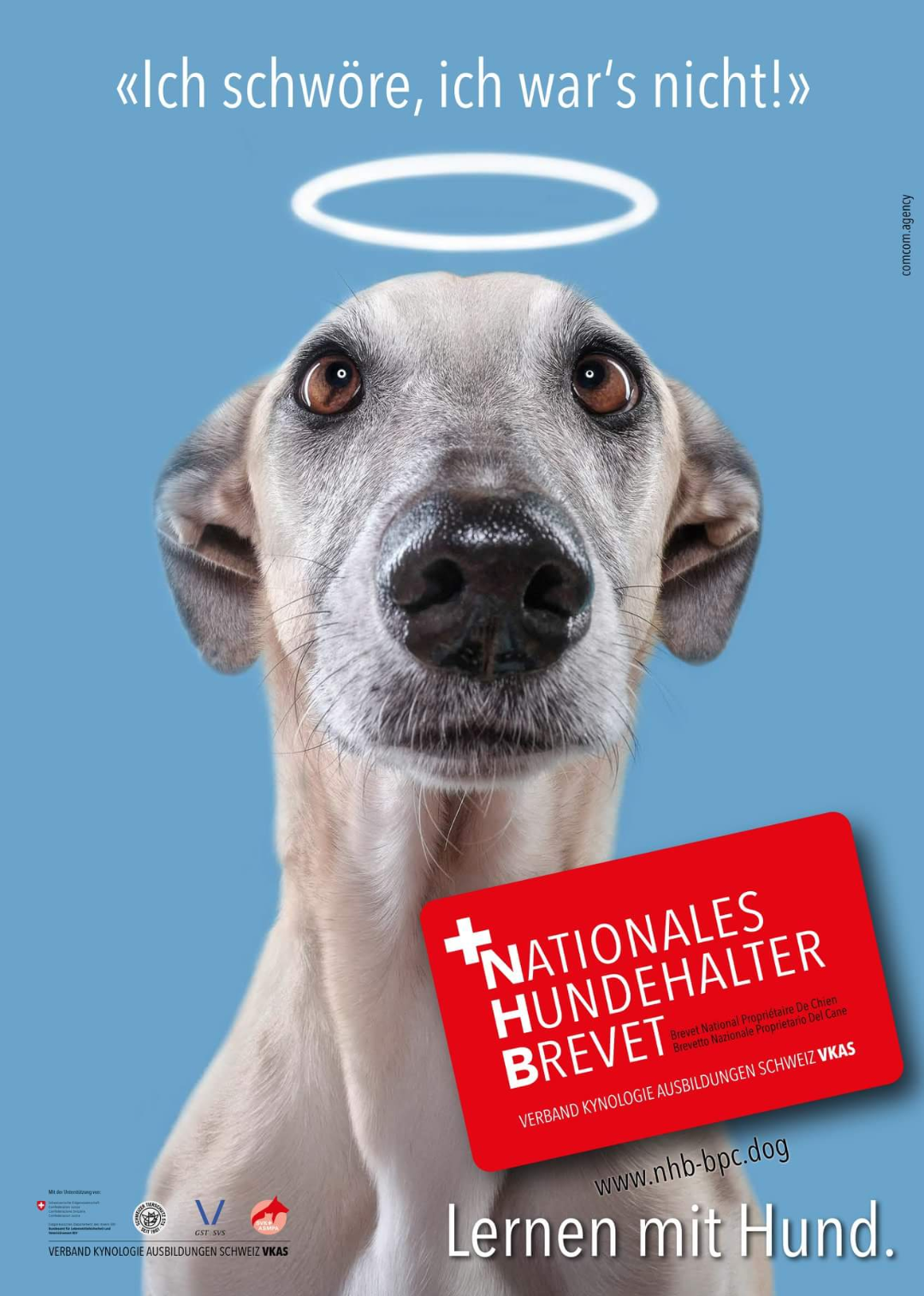 Hundehalter kennenlernen