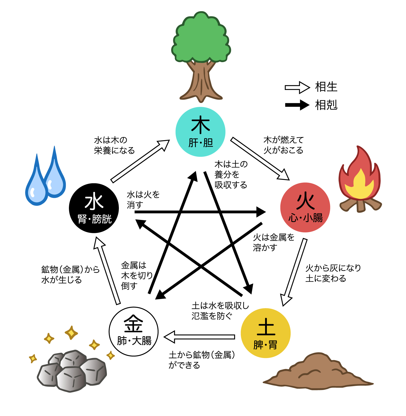 東洋医学の基礎と経絡治療 - wanohashinkyustudio ページ！