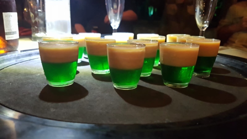 Springbok - Das Bild wurde freundlicherweise von Obi (BodenseeTroll) zur Verfügung gestellt.