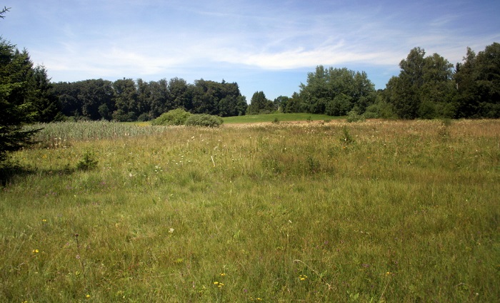Zeitler-Wiesen (Foto: K. Gottschalk)