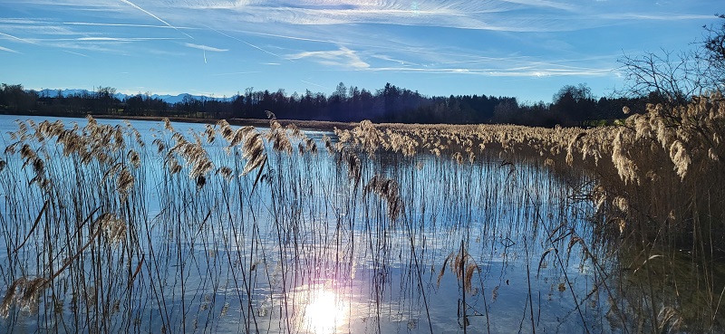 bei Seeseiten (Foto: Stefanie Zysk) 