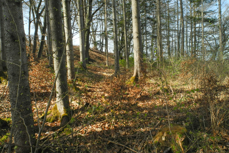 Am Südrand - Foto: Horst Guckelsberger
