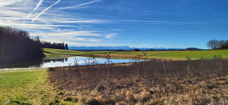 Weiher Bachhausen (Foto: Stefanie Zysk)