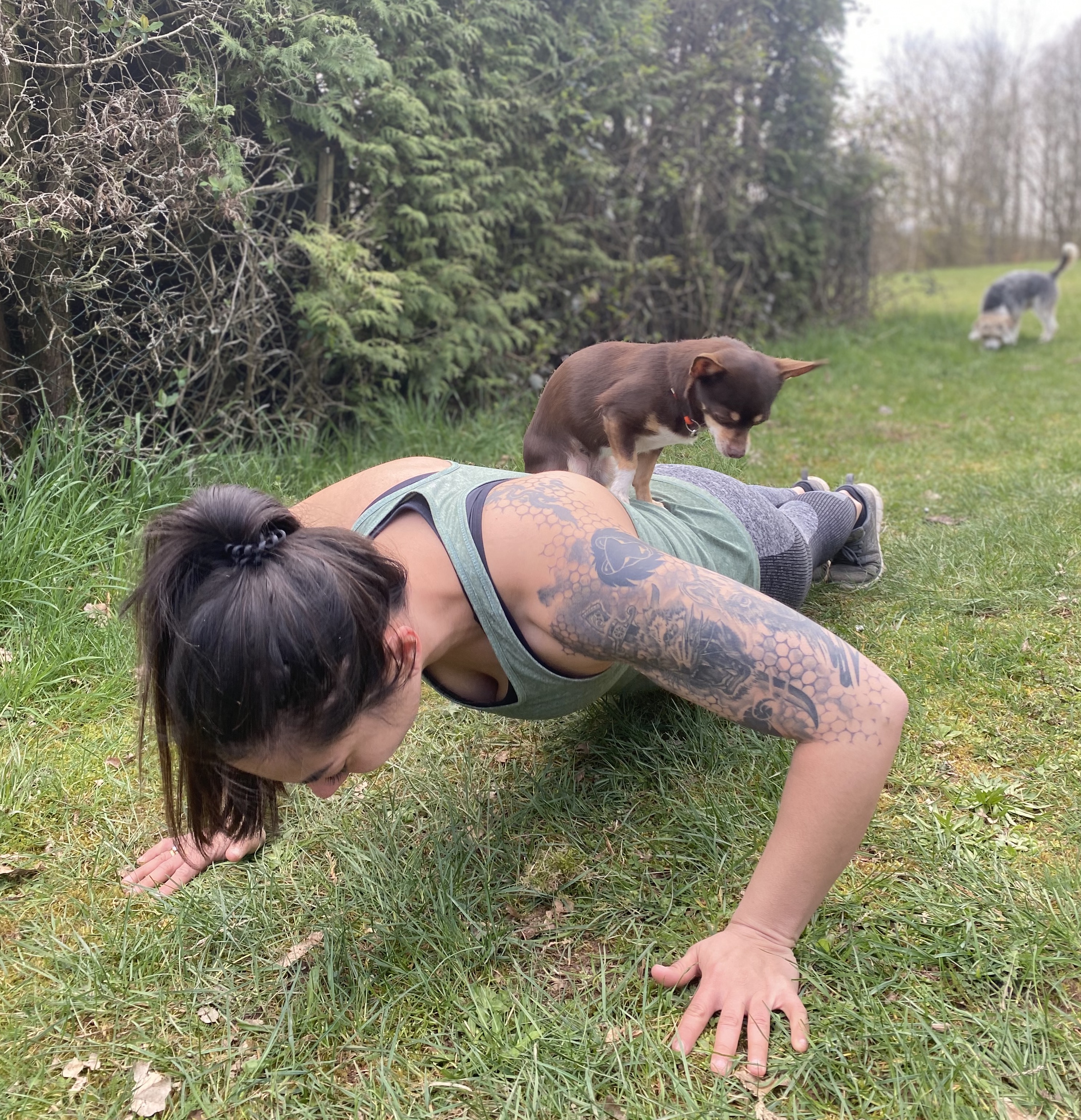 Doggybuilding Kraftsport mit Hund HundeBunt Trier
