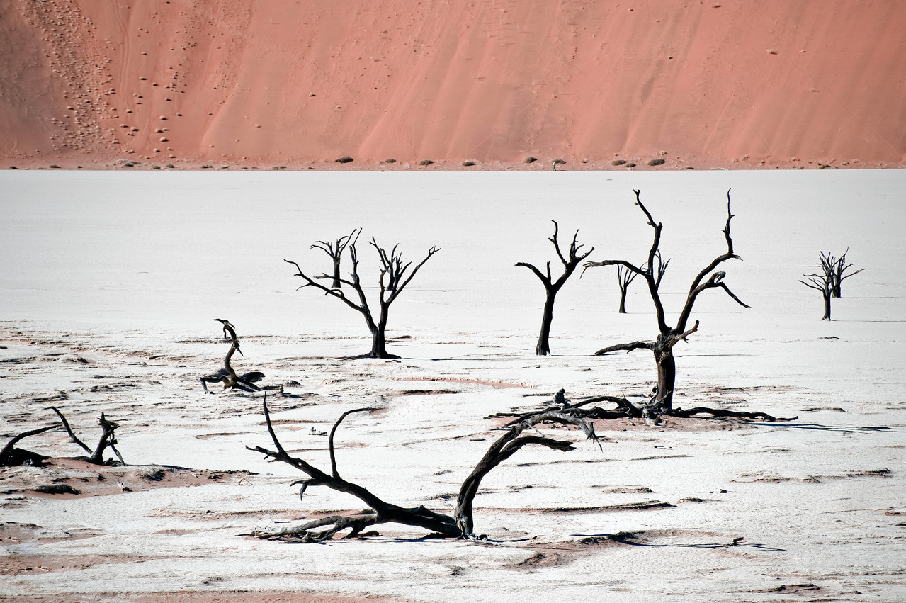 Soussusvlei in Namibia