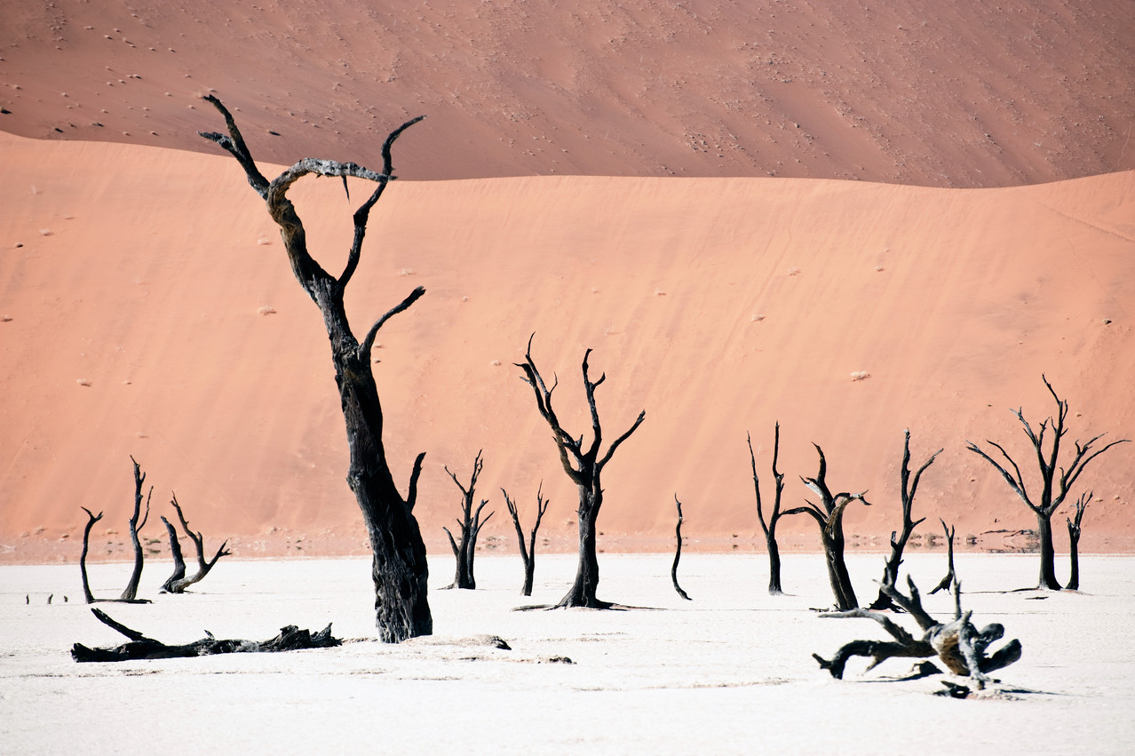 Soussusvlei in Namibia