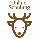 Online-Schulung