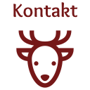 Kontakt