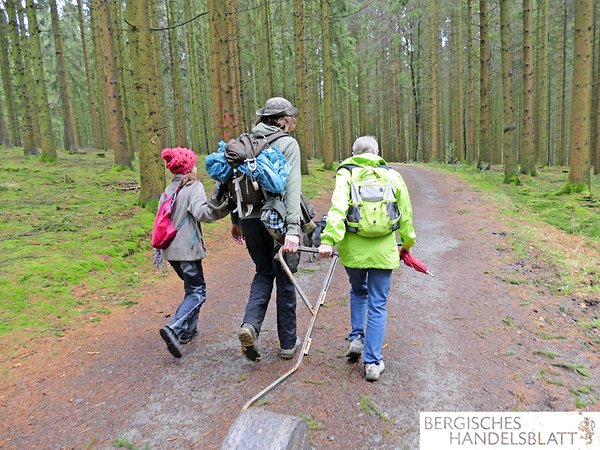 Auf schönen Waldwegen unterwegs