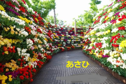 朝日（ASAHI）