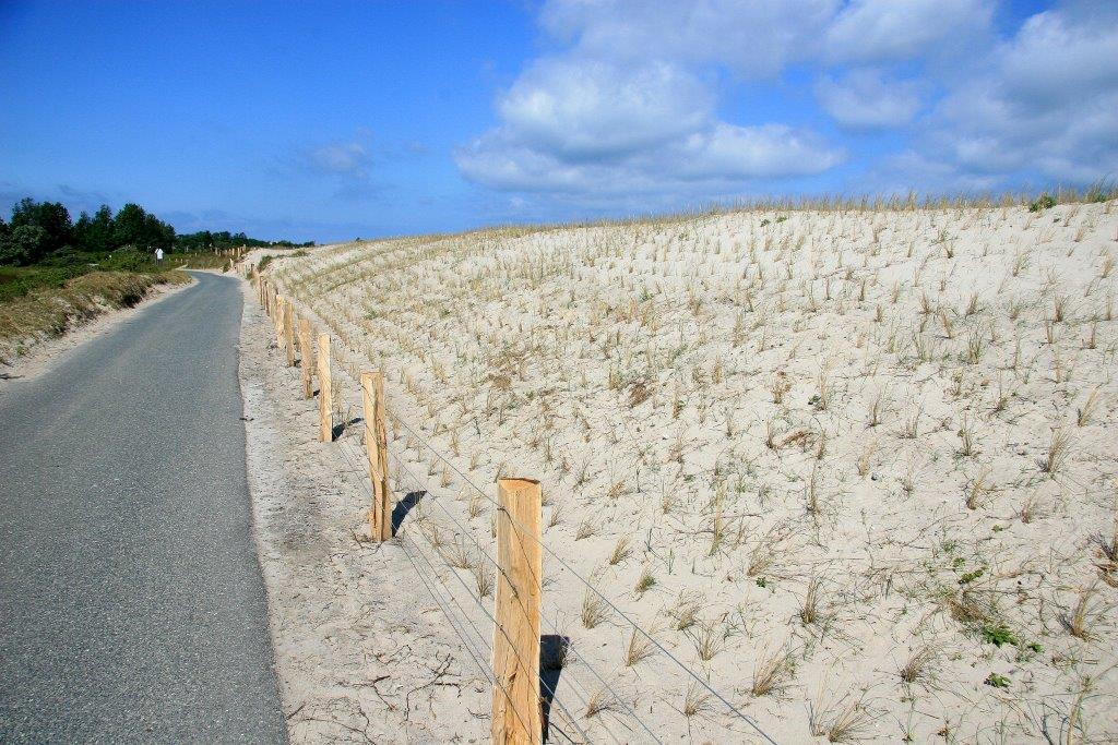 Neuanpflanzung mit Strandhafer