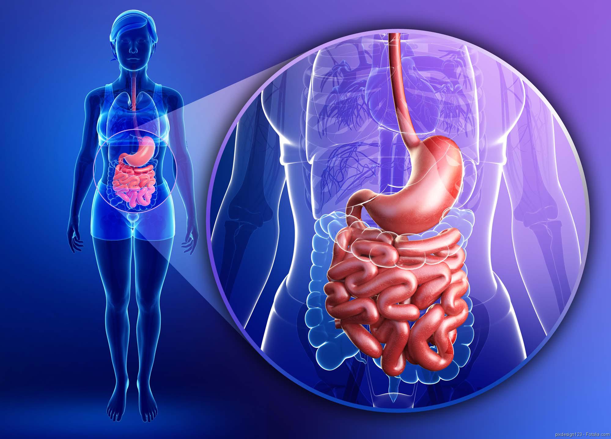 Detox & Darmsanierung in Rodenkirchen – sinnvoll, medizinisch fundiert und individuell bei gesund.schön