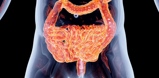 Präbiotika und Probiotika: Schlüssel zu deiner Darmgesundheit in Köln Rodenkirchen und Umgebung