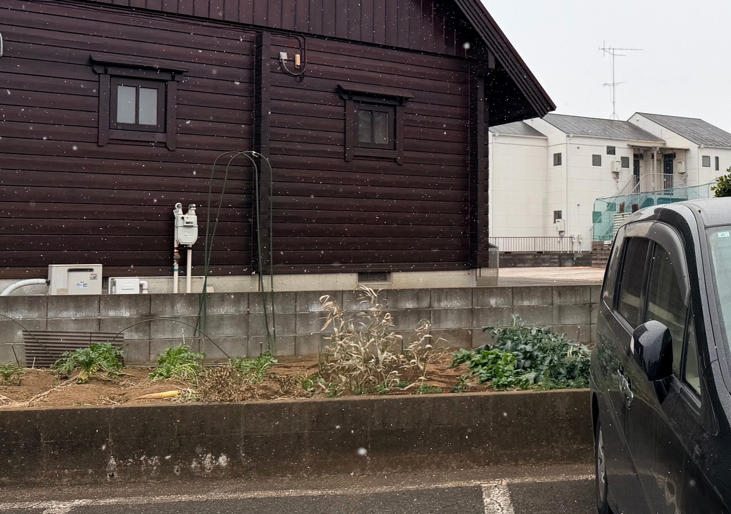 ちらちらと...