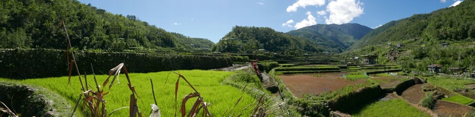 Im hügeligen Gelände wird seit 1000 Jahren Reis angebaut