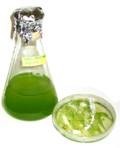 Colture axeniche di Chlorophyceae