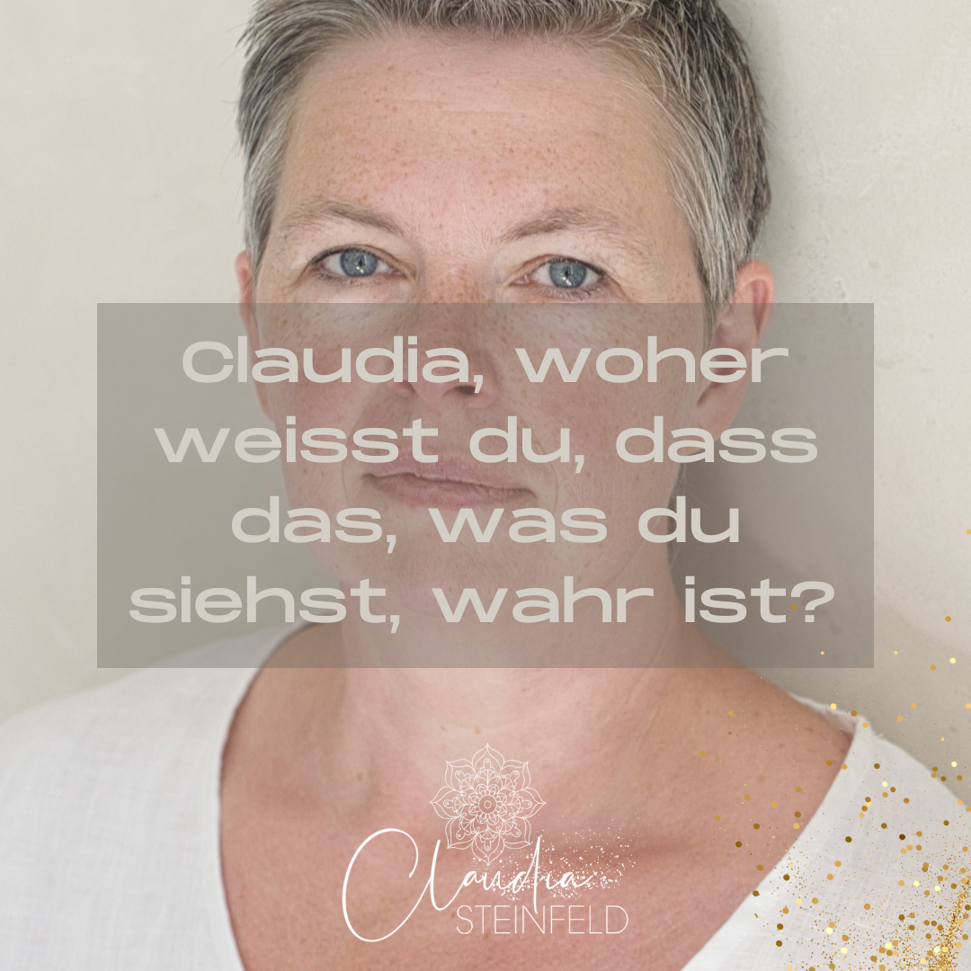 Woher weisst du, dass das, was du siehst, wahr ist?