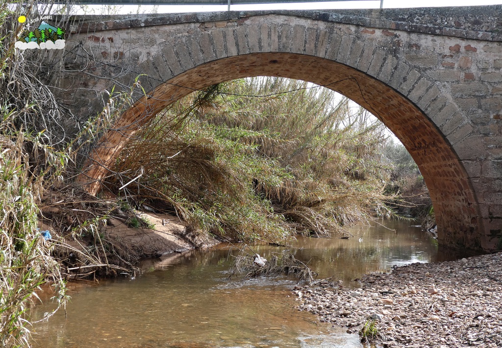 Puente Medieval de Piedra (río Guadiel)