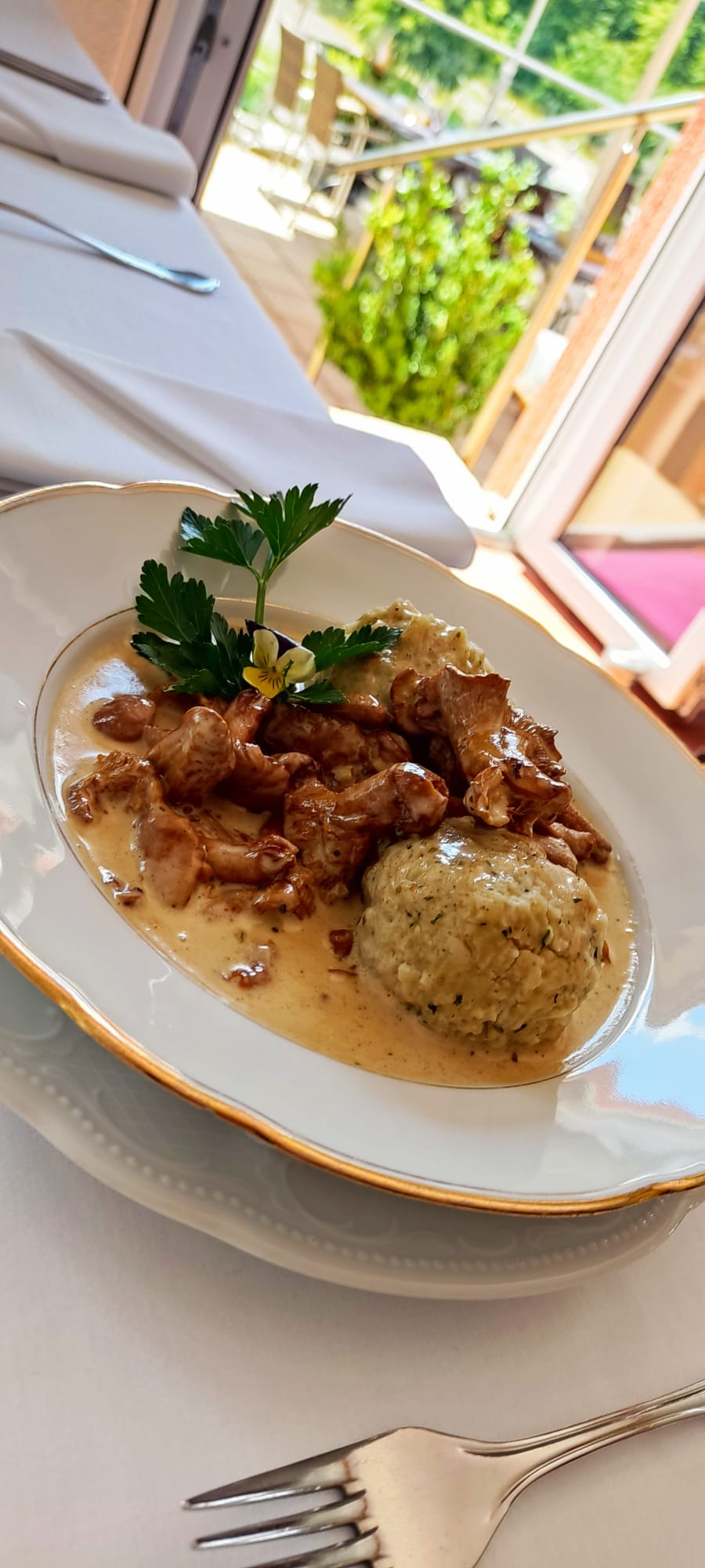 Es gibt wieder Pfifferlinggerichte!