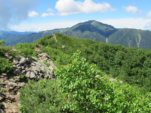 山わんこ　ボクのはいきんぐリポート　山行報告目次　日本アルプス　甲斐駒ヶ岳　仙丈ケ岳の眺め