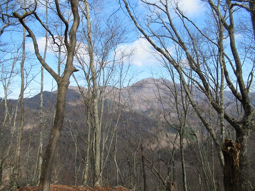 落葉した木々の間から見えるのは大室山