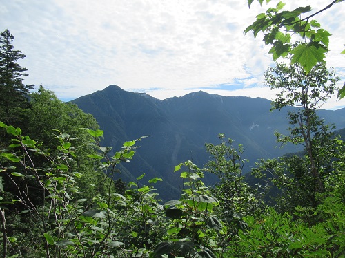 山わんこ　ボクのはいきんぐリポート　山行報告目次　日本アルプス　北岳～間ノ岳～農鳥岳　鳳凰三山