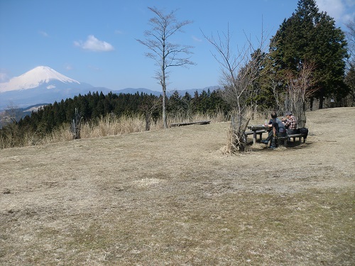山わんこ　ボクのはいきんぐリポート　丹沢　高松山　広い山頂
